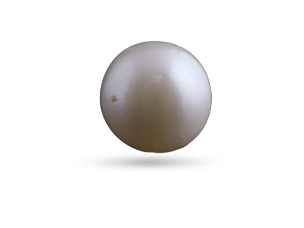 Pearl (Moti)