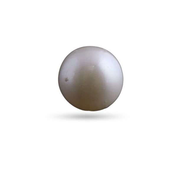 Moonstone / White Coral
