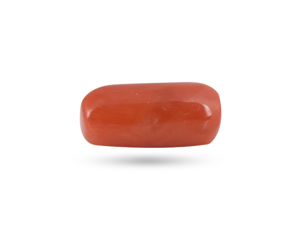 Red Coral (Moonga)