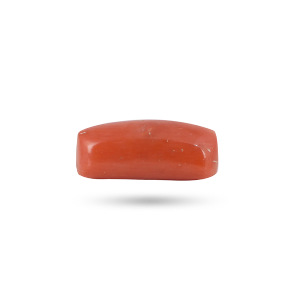 Coral (Moonga) - Image 3
